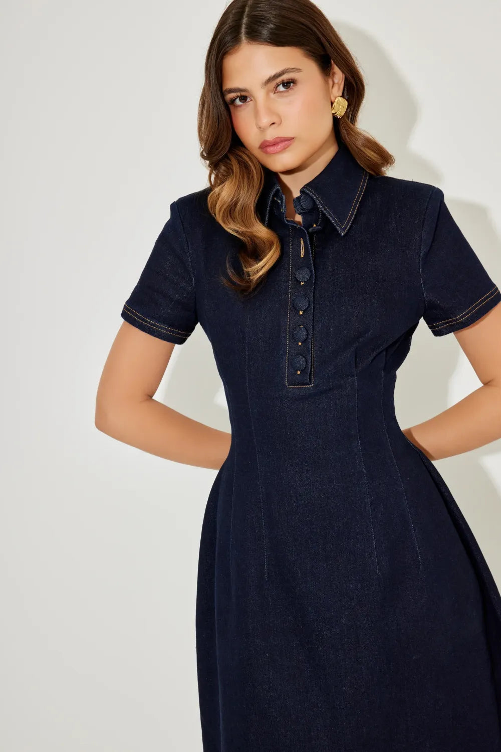 The Ultimate Muse Collared Midi Dress